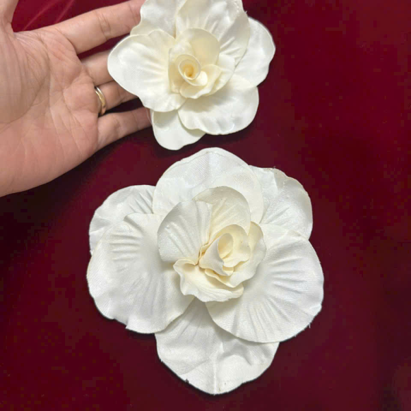 Mẫu số 06