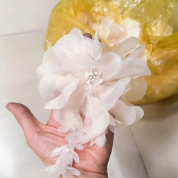 Mẫu số 12