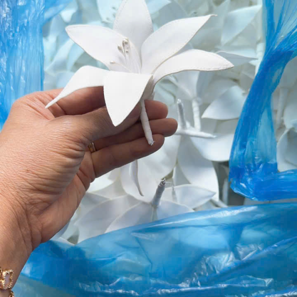 Mẫu số 17
