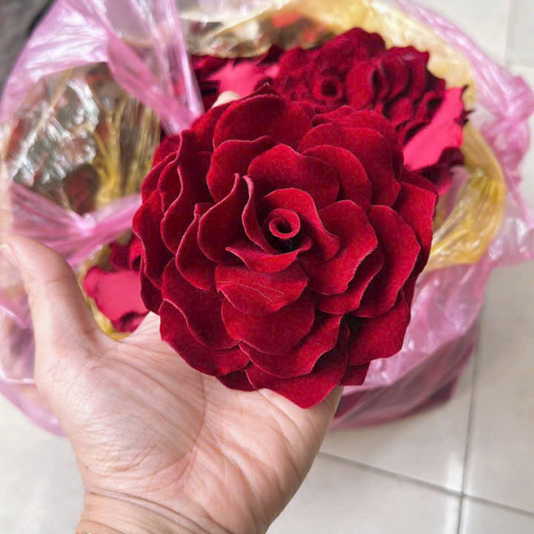 Mẫu số 25