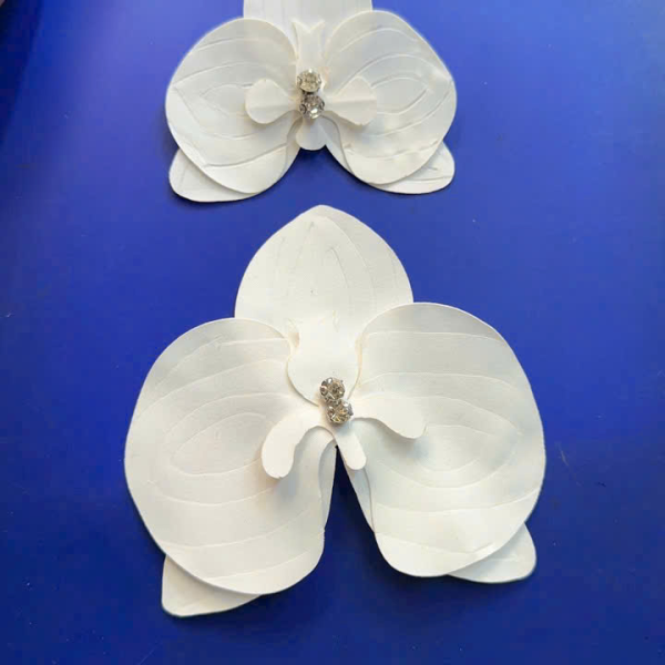 Mẫu số 38